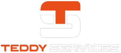 Favicon - Teddy Services blanc